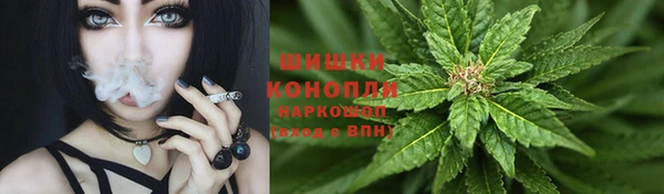 гидра Красноперекопск